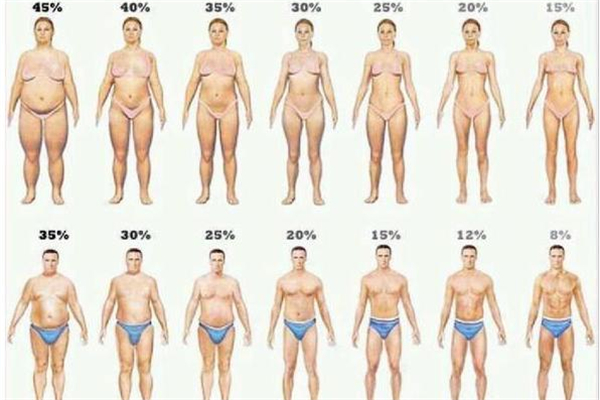體脂率是脂肪率嗎 體脂率是怎么測(cè)出來(lái)的 體脂率是脂肪率嗎 體脂率是怎么測(cè)出來(lái)的