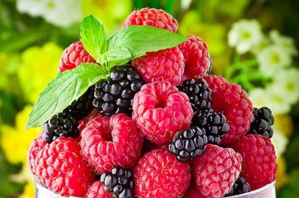 樹莓是覆盆子嗎 樹莓是熱性還是涼性 樹莓是覆盆子嗎 樹莓是熱性還是涼性