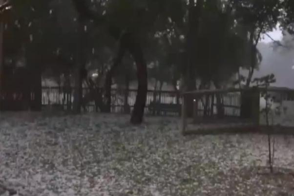 下雪天氣要注意什么 赤道附近的喀麥隆下雪了 下雪天氣要注意什么 赤道附近的喀麥隆下雪了