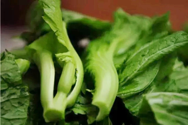 芥菜是什么季節(jié)的菜 芥菜是苦的嗎 芥菜是什么季節(jié)的菜 芥菜是苦的嗎