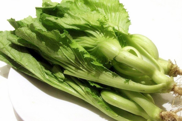 芥菜能治便秘嗎 芥菜對胃好嗎 芥菜能治便秘嗎 芥菜對胃好嗎