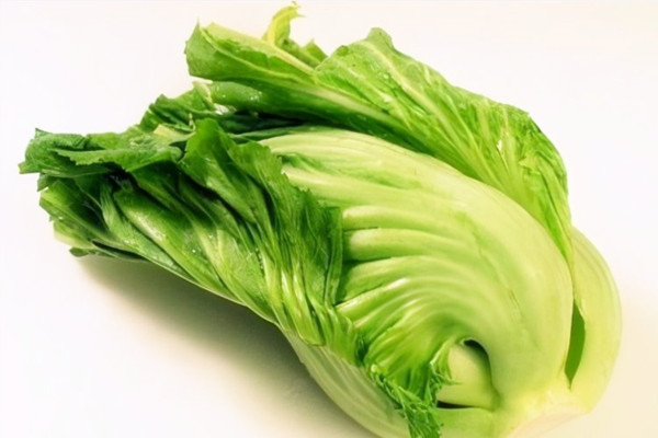 芥菜能治便秘嗎 芥菜對胃好嗎 芥菜能治便秘嗎 芥菜對胃好嗎
