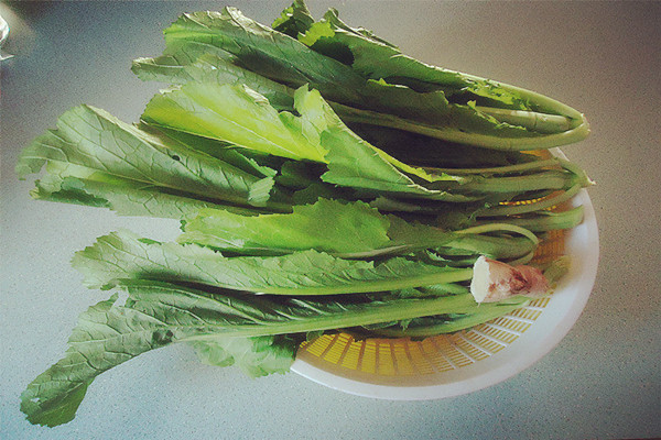 芥菜可以做芥末嗎 芥菜和芥末的關(guān)系 芥菜可以做芥末嗎 芥菜和芥末的關(guān)系