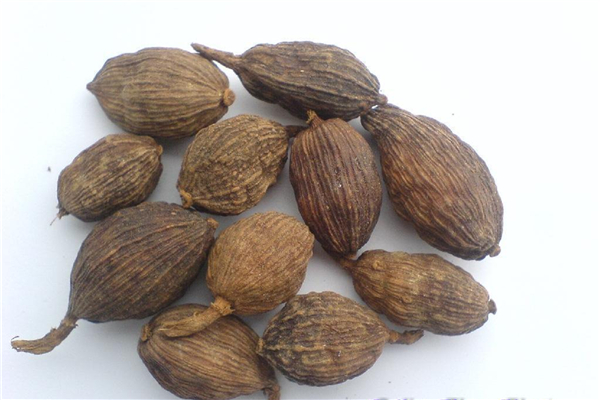 草果去腥嗎 草果可以燉雞嗎 草果去腥嗎 草果可以燉雞嗎