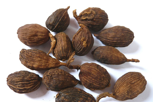 草果苦味重怎么回事 草果是苦香料嗎 草果苦味重怎么回事 草果是苦香料嗎