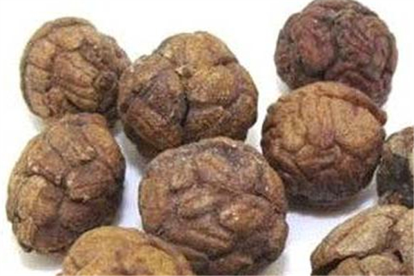 草豆蔻的別名 草豆蔻的功效和作用 草豆蔻的別名 草豆蔻的功效和作用