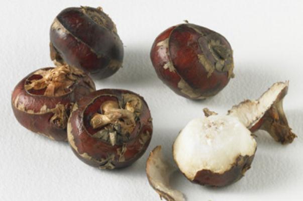 荸薺會(huì)過(guò)敏嗎 荸薺過(guò)敏怎么辦 荸薺會(huì)過(guò)敏嗎 荸薺過(guò)敏怎么辦