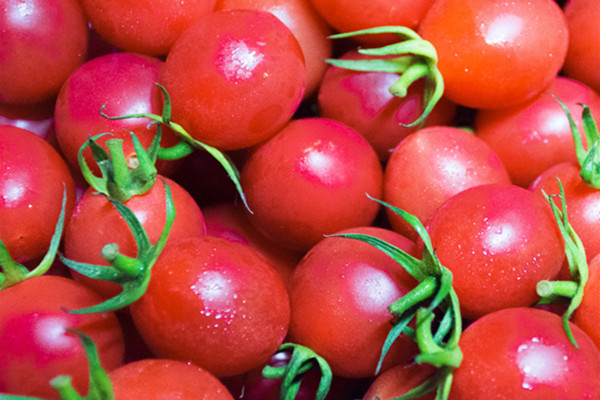 圣女果吃多了會怎么樣 圣女果不適合什么人吃 圣女果吃多了會怎么樣 圣女果不適合什么人吃