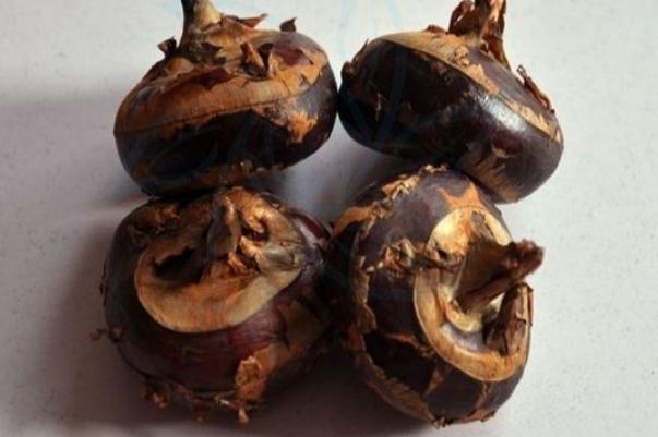 荸薺會(huì)過(guò)敏嗎 荸薺過(guò)敏怎么辦 荸薺會(huì)過(guò)敏嗎 荸薺過(guò)敏怎么辦