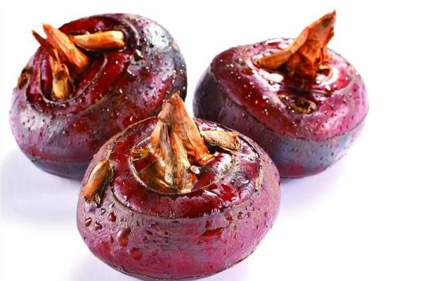 馬蹄是什么季節(jié)才會有的 馬蹄是什么水果 馬蹄是什么季節(jié)才會有的 馬蹄是什么水果