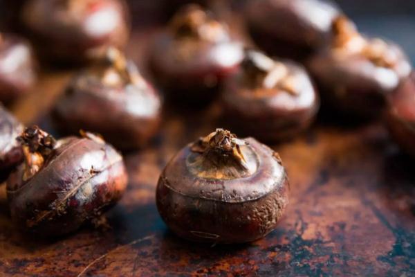 荸薺要用鹽水泡嗎 常用荸薺去皮妙招 荸薺要用鹽水泡嗎 常用荸薺去皮妙招