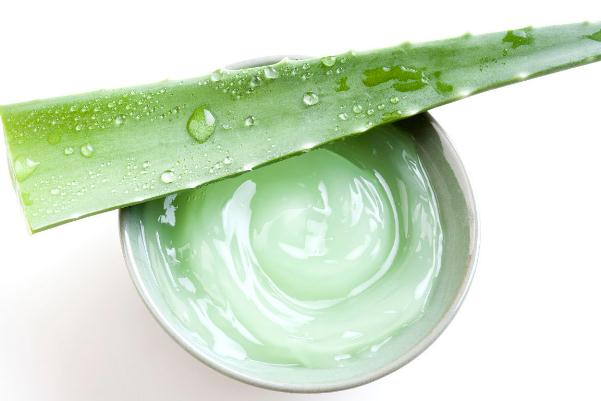 蘆薈膠的功效與禁忌 蘆薈膠的保質(zhì)期是多久 蘆薈膠的功效與禁忌 蘆薈膠的保質(zhì)期是多久
