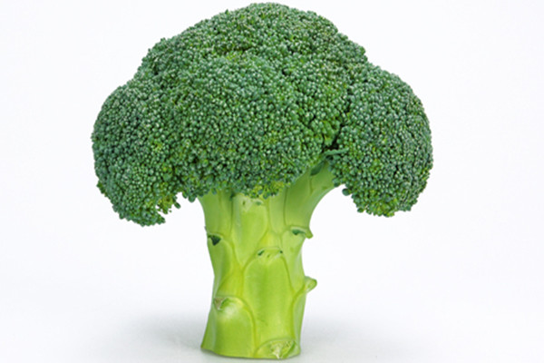 西蘭花是什么季節(jié)的菜 西蘭花屬于發(fā)物嗎 西蘭花是什么季節(jié)的菜 西蘭花屬于發(fā)物嗎