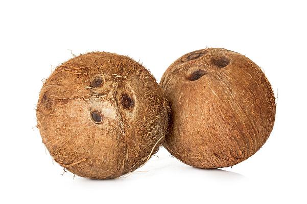 椰子的營養(yǎng)價值及功效 椰子肉的正確吃法 椰子的營養(yǎng)價值及功效 椰子肉的正確吃法