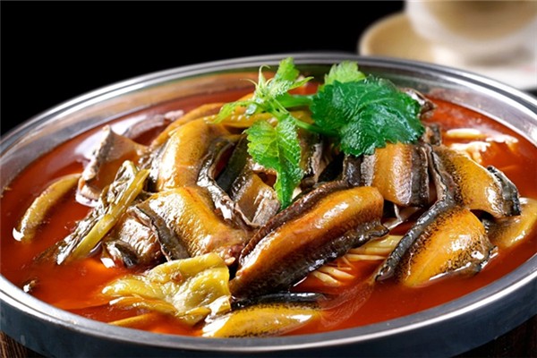 鱔魚血可以補(bǔ)腎嗎 鱔魚血有什么作用 鱔魚血可以補(bǔ)腎嗎 鱔魚血有什么作用