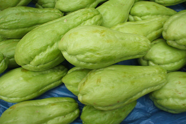 佛手瓜是什么季節(jié)的菜 佛手瓜的營養(yǎng)成分 佛手瓜是什么季節(jié)的菜 佛手瓜的營養(yǎng)成分