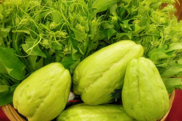 佛手瓜不適合什么人吃 佛手瓜和什么搭配好 佛手瓜不適合什么人吃 佛手瓜和什么搭配好