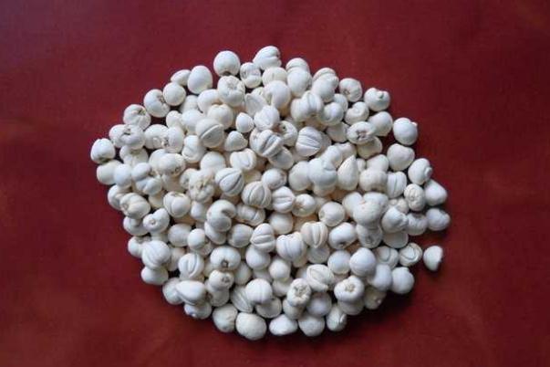 川貝會苦嗎 川貝會不會過期 川貝會苦嗎 川貝會不會過期