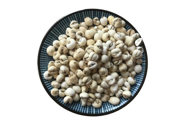 川貝是什么樣子 川貝是涼性還是熱性 川貝是什么樣子 川貝是涼性還是熱性