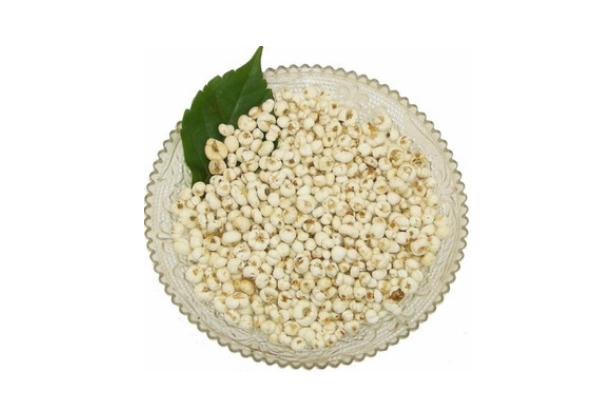 川貝泡水喝的功效 川貝泡水喝可以止咳嗎 川貝泡水喝的功效 川貝泡水喝可以止咳嗎