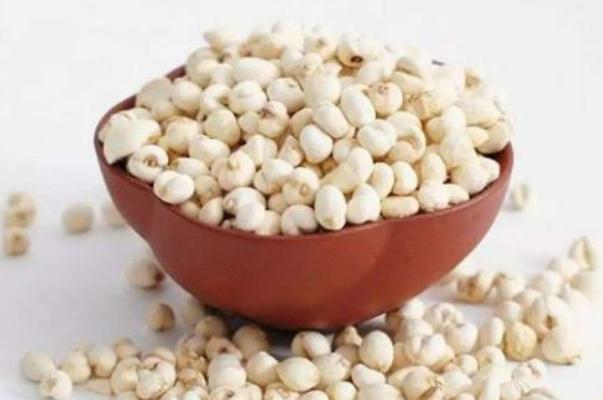 川貝對(duì)支氣管炎有用嗎 川貝對(duì)肺結(jié)節(jié)有用嗎 川貝對(duì)支氣管炎有用嗎 川貝對(duì)肺結(jié)節(jié)有用嗎