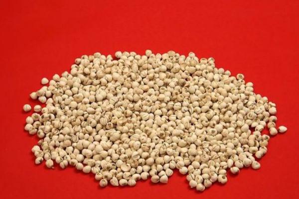 川貝可以長期服用嗎 川貝可以給孩子吃嗎 川貝可以長期服用嗎 川貝可以給孩子吃嗎