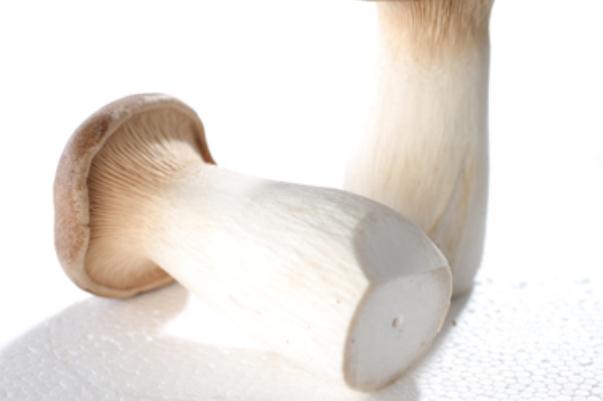 杏鮑菇是什么菇 吃杏鮑菇的好處 杏鮑菇是什么菇 吃杏鮑菇的好處