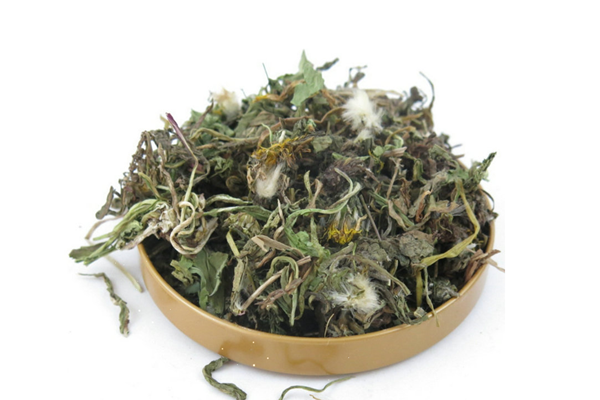 蒲公英是涼性還是熱性的 蒲公英是酸性還是堿性 蒲公英是涼性還是熱性的 蒲公英是酸性還是堿性