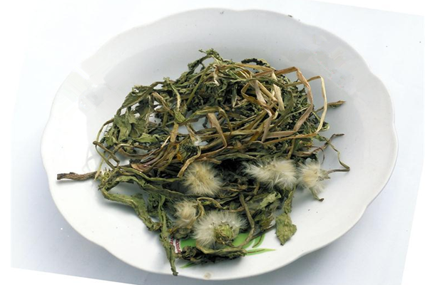 蒲公英可以泡水喝嗎 蒲公英能天天泡水喝嗎 蒲公英可以泡水喝嗎 蒲公英能天天泡水喝嗎