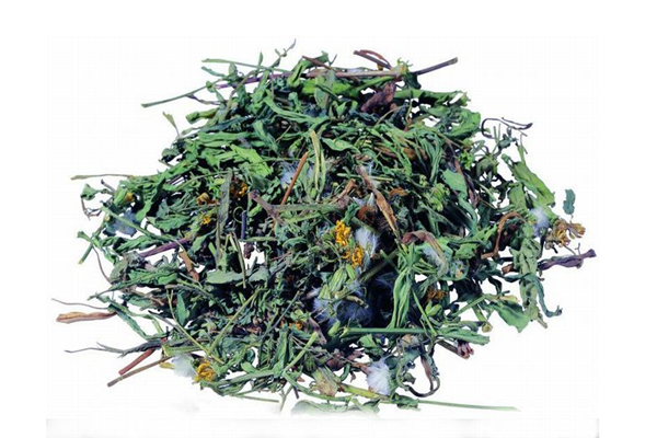 蒲公英能降血壓嗎 蒲公英能降尿酸嗎 蒲公英能降血壓嗎 蒲公英能降尿酸嗎