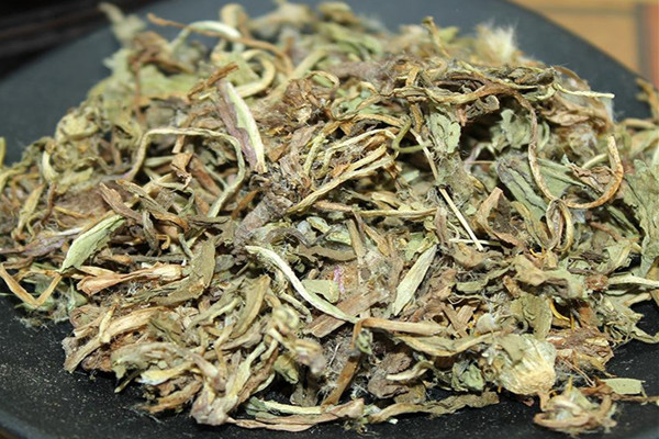 蒲公英泡水喝對(duì)肝有好處嗎 蒲公英泡水喝對(duì)肺好嗎 蒲公英泡水喝對(duì)肝有好處嗎 蒲公英泡水喝對(duì)肺好嗎