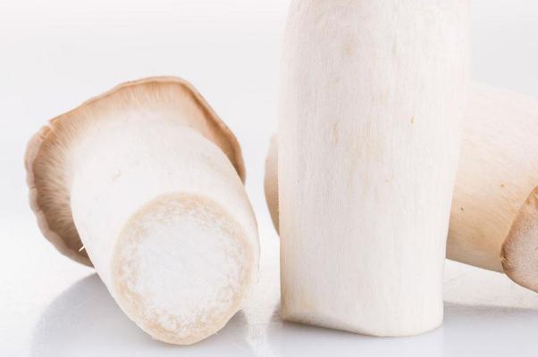 杏鮑菇的功效與作用 杏鮑菇的禁忌 杏鮑菇的功效與作用 杏鮑菇的禁忌