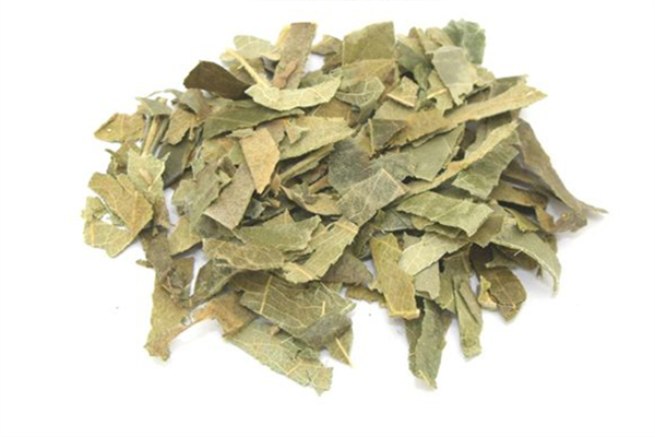 枇杷葉煮多久合適 枇杷葉喝多了會(huì)怎么樣 枇杷葉煮多久合適 枇杷葉喝多了會(huì)怎么樣