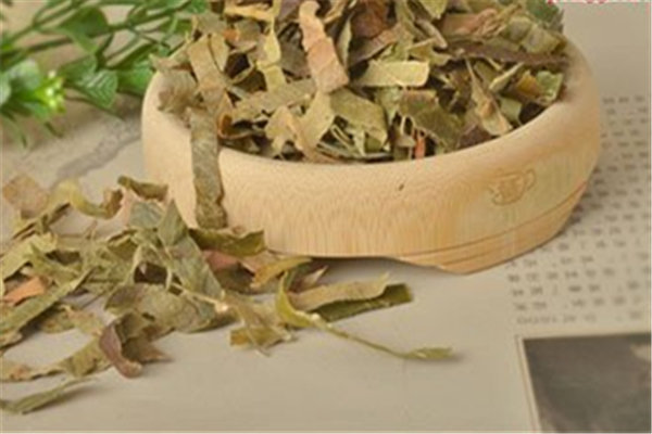 枇杷葉要不要去毛 枇杷葉怎么處理干凈 枇杷葉要不要去毛 枇杷葉怎么處理干凈