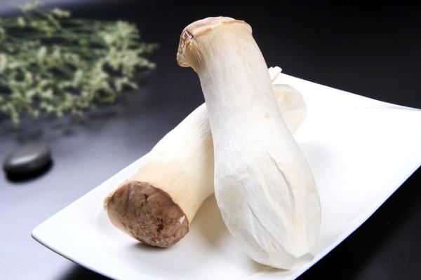 杏鮑菇的功效與作用 杏鮑菇的禁忌 杏鮑菇的功效與作用 杏鮑菇的禁忌