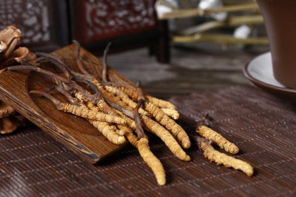 冬蟲夏草有沒有假的 怎樣辨別冬蟲夏草真假 冬蟲夏草有沒有假的 怎樣辨別冬蟲夏草真假