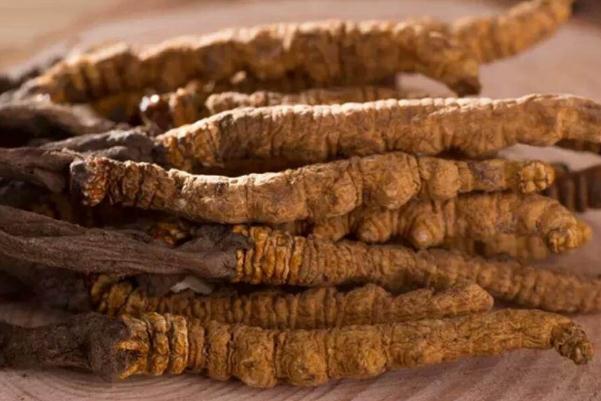 冬蟲(chóng)夏草對(duì)女人的功效與作用 冬蟲(chóng)夏草對(duì)腫瘤到底有沒(méi)有作用