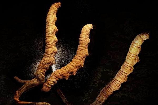 冬蟲(chóng)夏草有沒(méi)有保質(zhì)期限 冬蟲(chóng)夏草過(guò)期能吃嗎