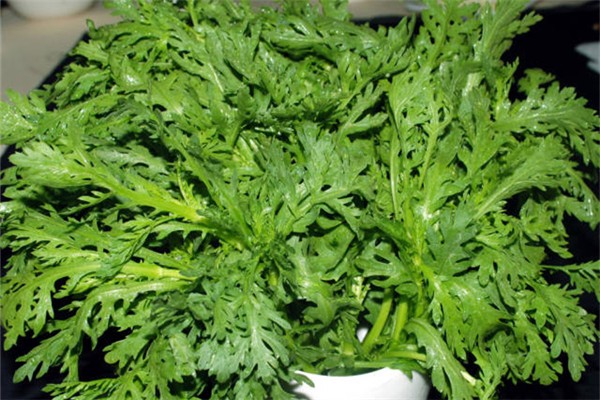 茼蒿可以蘸醬吃嗎 茼蒿生吃好還是熟吃好 茼蒿可以蘸醬吃嗎 茼蒿生吃好還是熟吃好