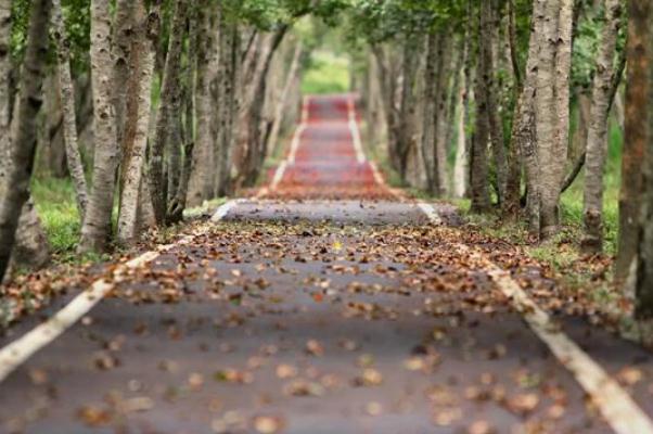 秋分節(jié)氣的含義是什么 秋分節(jié)氣的由來(lái)和風(fēng)俗 秋分節(jié)氣的含義是什么 秋分節(jié)氣的由來(lái)和風(fēng)俗