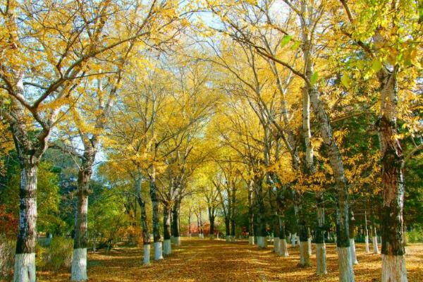 秋分節(jié)氣的含義是什么 秋分節(jié)氣的由來(lái)和風(fēng)俗 秋分節(jié)氣的含義是什么 秋分節(jié)氣的由來(lái)和風(fēng)俗