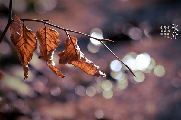 秋分后天氣還熱嗎 秋分后還會熱多久 秋分后天氣還熱嗎 秋分后還會熱多久