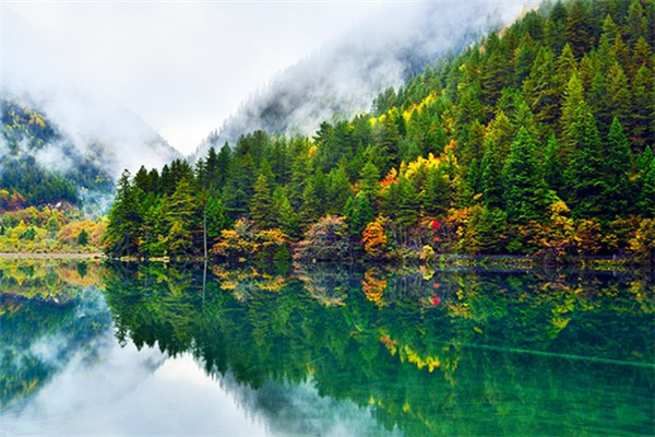 九寨溝什么時(shí)候開(kāi)放 九寨溝幾月份去最好 九寨溝什么時(shí)候開(kāi)放 九寨溝幾月份去最好