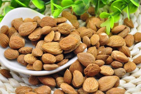 杏仁的營(yíng)養(yǎng)價(jià)值是什么 杏仁會(huì)不會(huì)上火 杏仁的營(yíng)養(yǎng)價(jià)值是什么 杏仁會(huì)不會(huì)上火