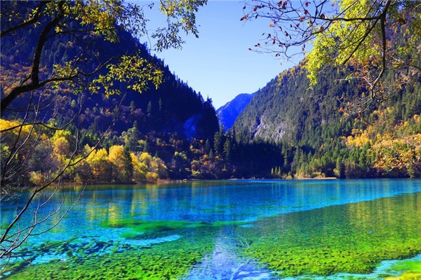 九寨溝什么時(shí)候開(kāi)放 九寨溝幾月份去最好 九寨溝什么時(shí)候開(kāi)放 九寨溝幾月份去最好