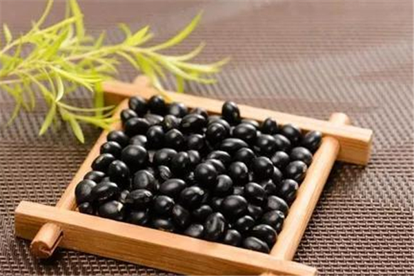 黑豆適合減肥吃嗎 黑豆什么時候吃最好 黑豆適合減肥吃嗎 黑豆什么時候吃最好