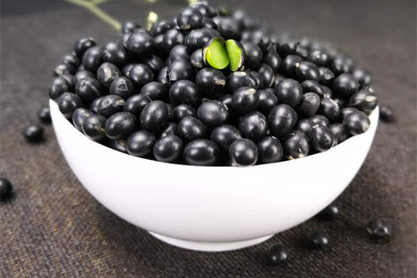 黑豆有助于懷孕嗎 黑豆怎么吃對(duì)卵泡發(fā)育好 黑豆有助于懷孕嗎 黑豆怎么吃對(duì)卵泡發(fā)育好