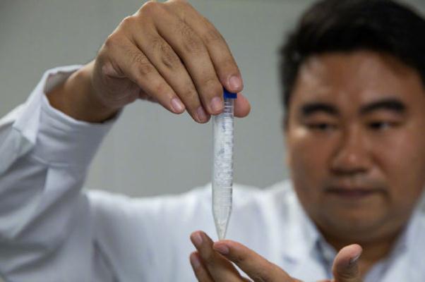 淀粉和生粉一樣嗎 淀粉和生粉有什么區(qū)別 淀粉和生粉一樣嗎 淀粉和生粉有什么區(qū)別