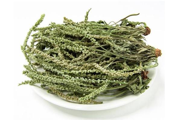 車(chē)前草可以泡水喝嗎 車(chē)前草泡水喝的功效