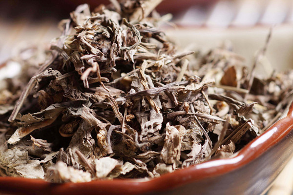 車(chē)前草可以泡水喝嗎 車(chē)前草泡水喝的功效